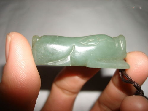 赤峰艺术收藏品之青玉猪龙 收购鉴定公司与信息指南