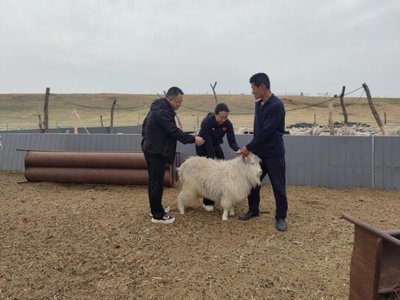 赤峰市农牧局 数字赋能，赤峰信息绘就乡村振兴新画卷
